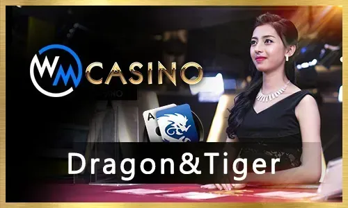 Sabong Betting at 747 3 Com Live Casino